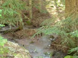 Madensuyu ak�yor T�rk bak�yor