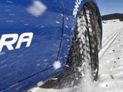 K�� lasti�i takmayana 500 lira ceza